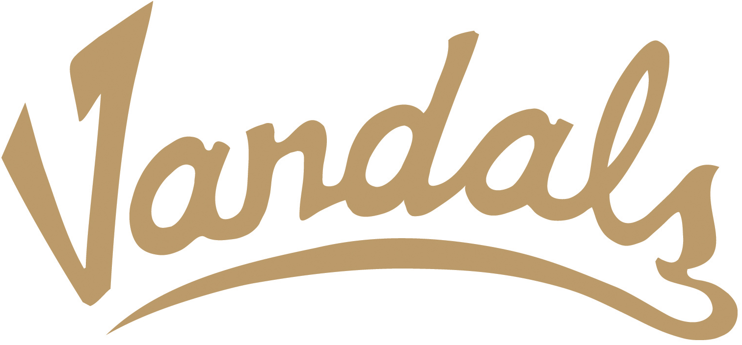 Idaho Vandals 2004-Pres Wordmark Logo v3 diy iron on heat transfer